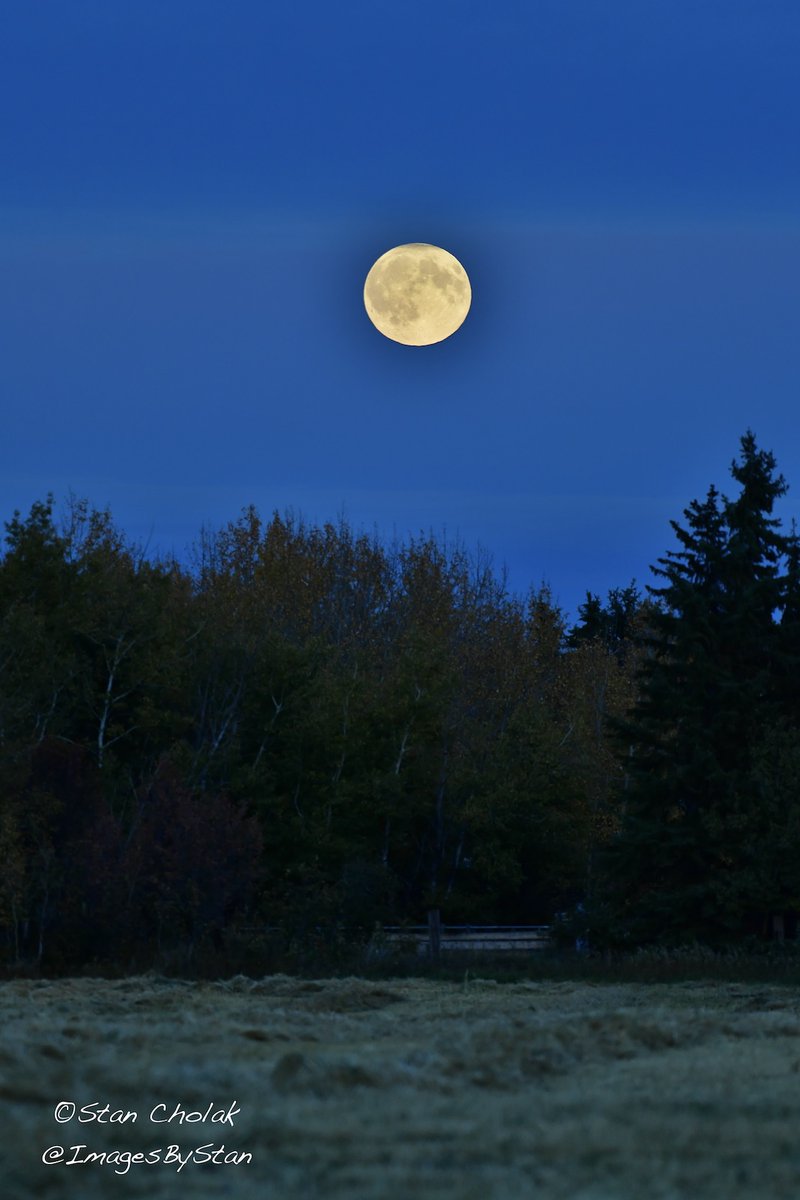 Images By Stan tweet media