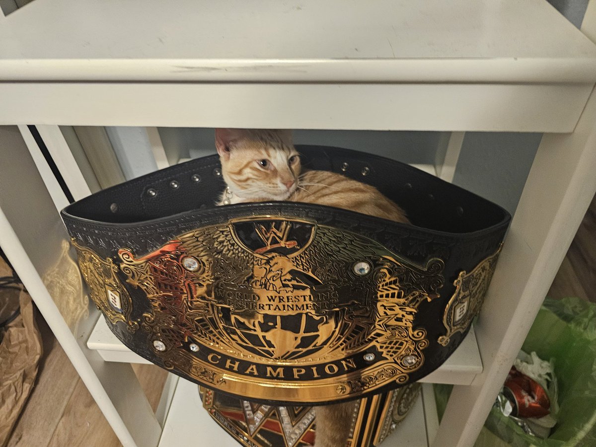 The champ is here.