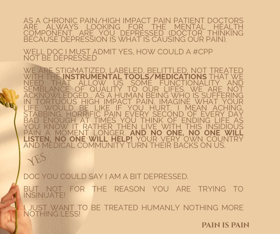 Cathykcpp's tweet image. 