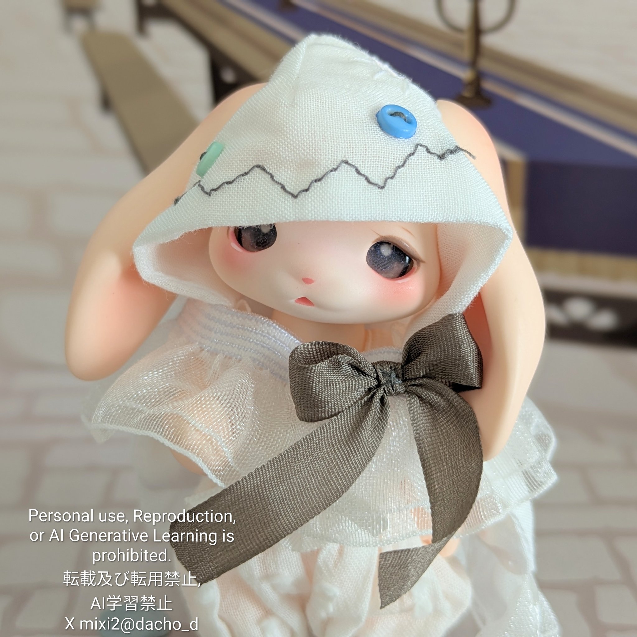 【ミッキー⚠大阪府】貝殻のように丸まる葉が魅力♪コーセーチャメドレア10号 雨鳥トトリ on X: 