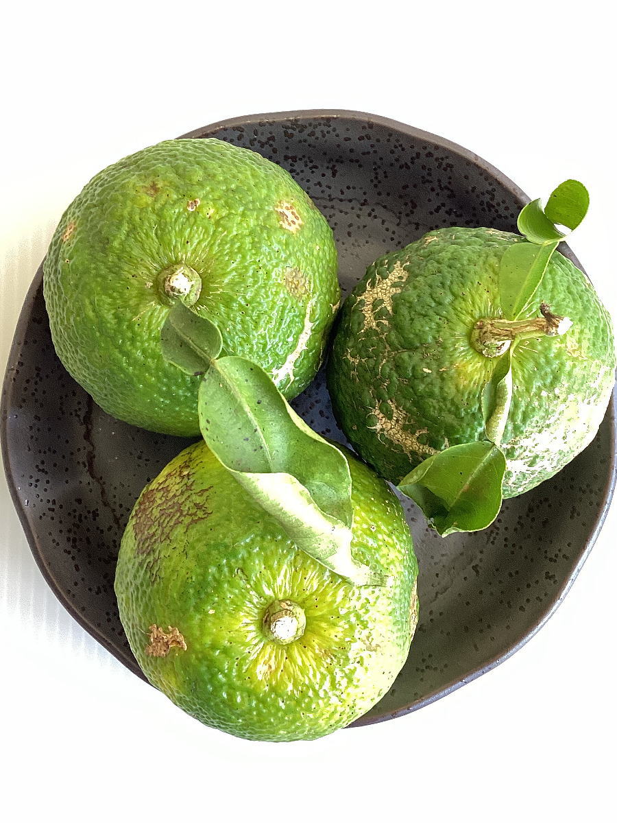 yuzurikko's tweet image. すだちでしょうか❔かぼすでしょうか❔
正解は｡｡｡🥁ﾄﾞｩﾙﾙﾙﾙﾙ🥁ｼﾞｬﾝ🎊
青ゆずです🍊✨
柚りっ子で使用のゆずは､農薬不使用のためこのように皮の染みや傷があるので､手作業で削り取っていますよ✋✨
加賀商会様 @kagashokai のアクキーで撮影しました📷✨
#企業公式つぶやき部 #徳島県