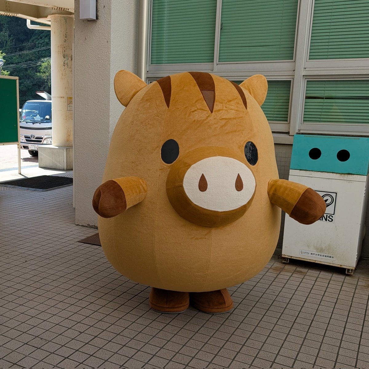 hoothoot_owl_06's tweet image. 