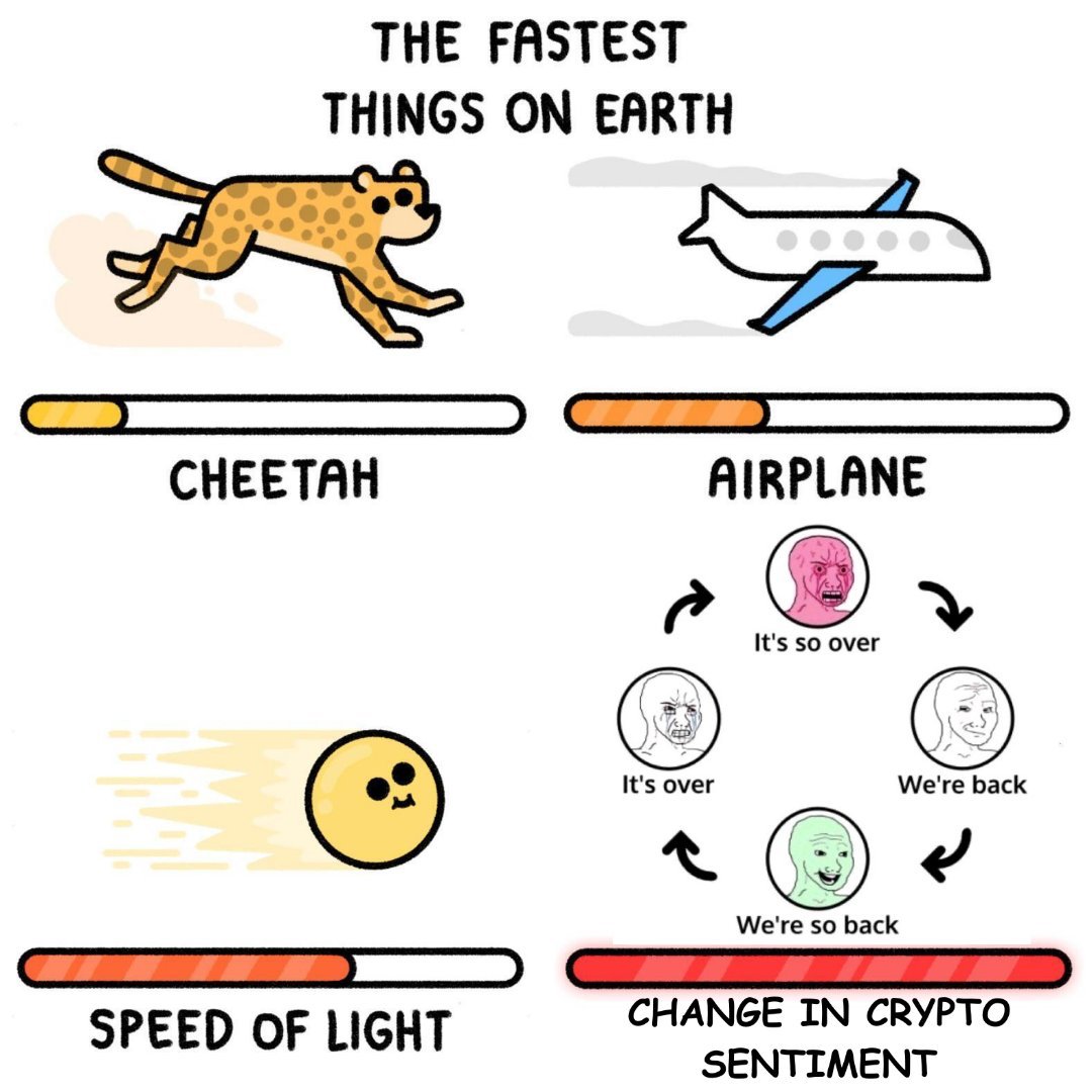 Chicken Genius tweet media