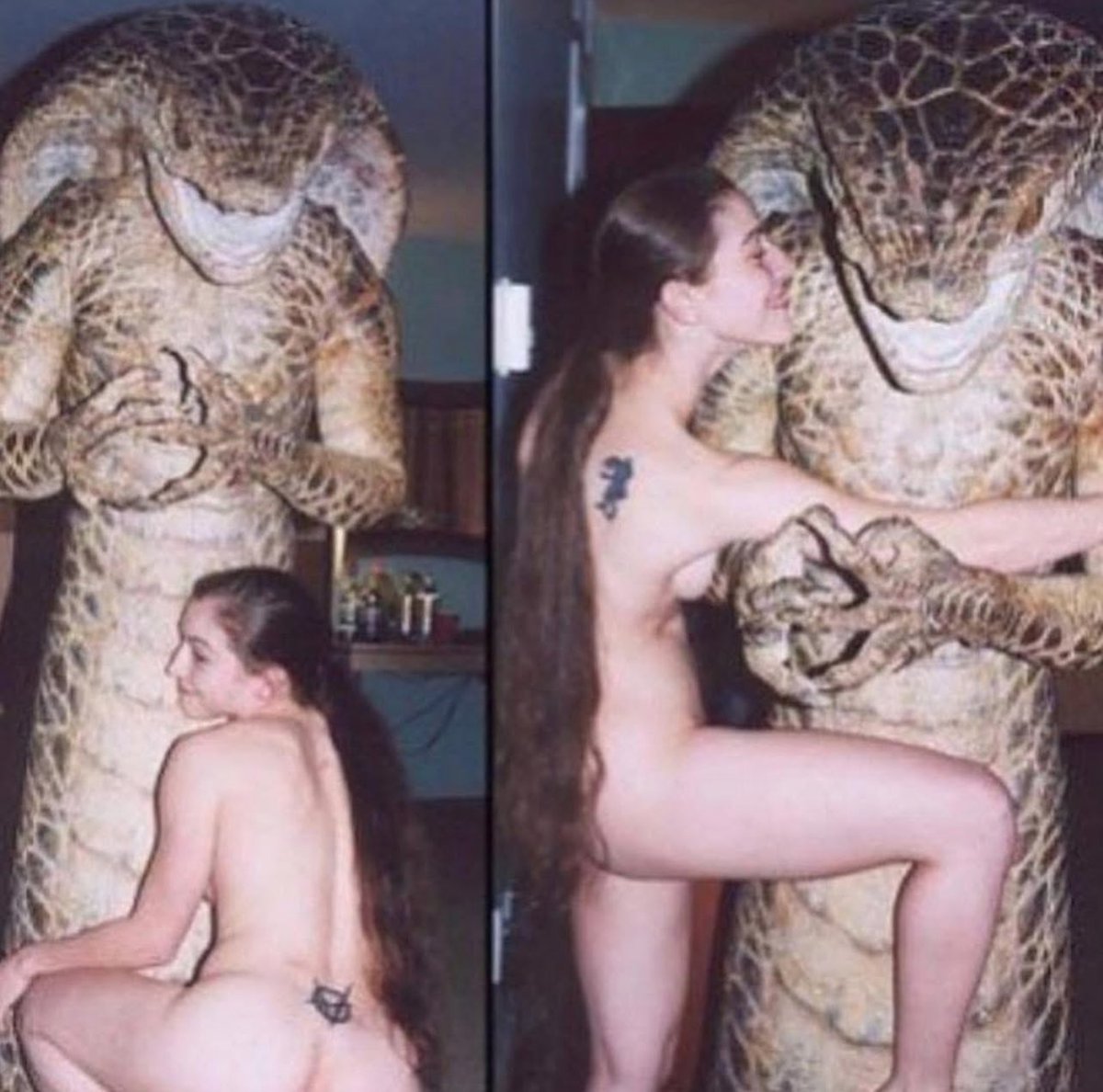MONSTERSHOLDINGBITCHES (@monstersbitches) on Twitter photo 
