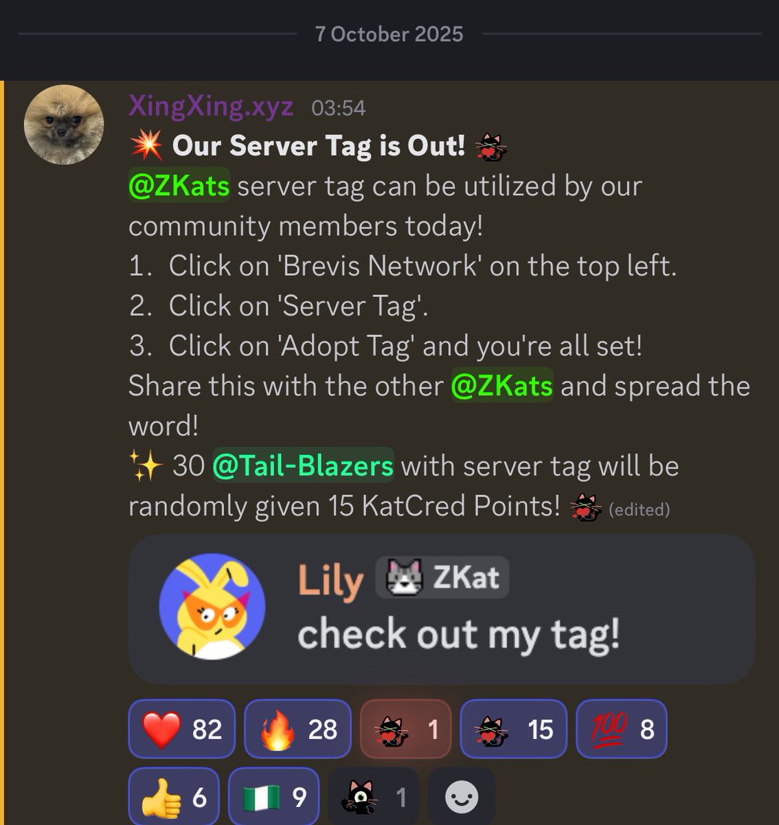 greatexfx's tweet image. OUR SERVER TAG IS OUT🔥
The @brevis_zk server tag can be utilized by our community members today! 
1. Click on &apos;Brevis Network&apos; on the top left. 
2. Click on &apos;Server Tag&apos;. 
3. Click on &apos;Adopt Tag&apos; 

✨ 30 trail blazers with server tag will be randomly given 15 KatCred Points!