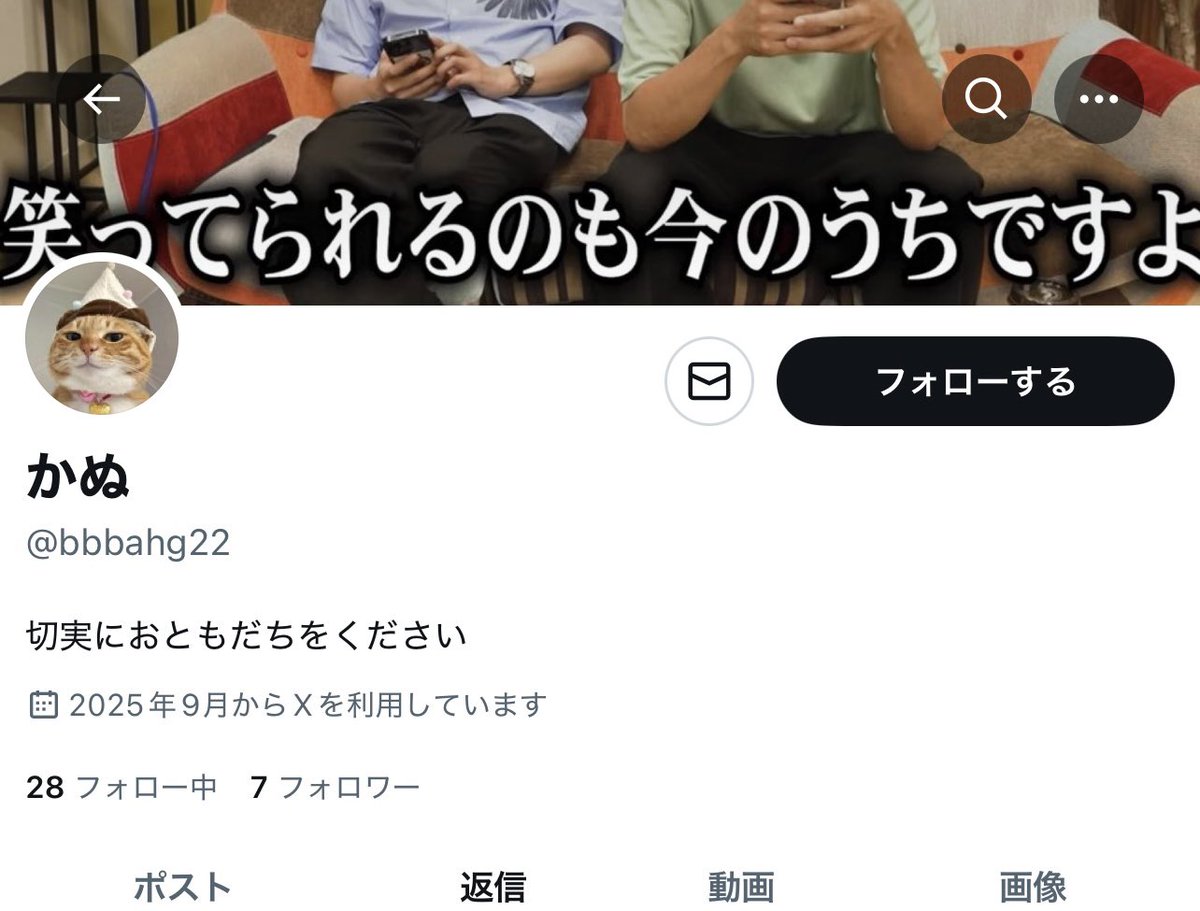 🐻 tweet media