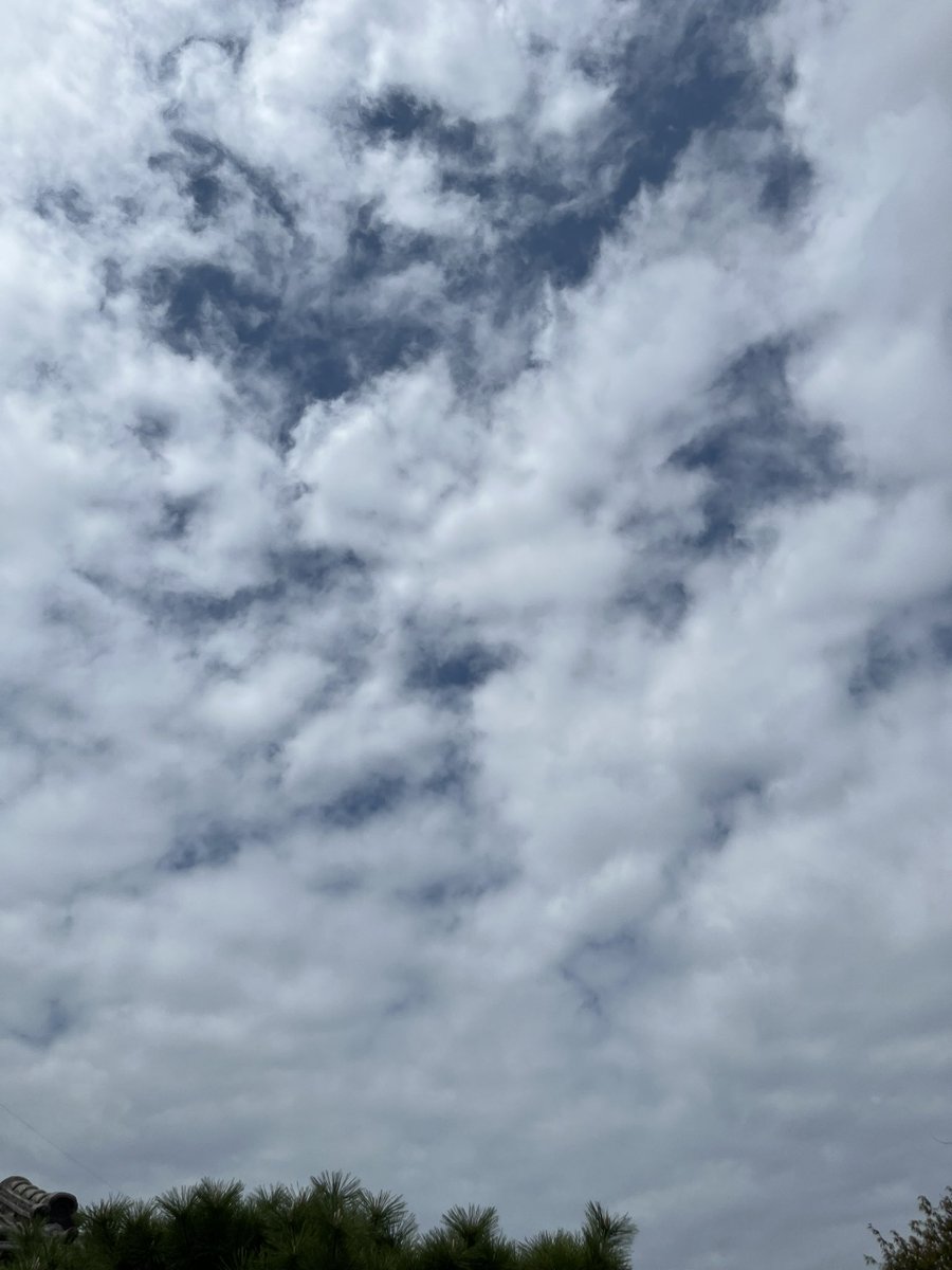 CekdU7HSfO09D74's tweet image. おやつの時間
こんにちは😊
北九州の今は曇り。
雲の後ろには青い空。秋らしい日です。
実家おやつはもなか。
裏表、お顔もしっかり鯛でかわよい💕
濃いめのお茶と頂きます。
午後から勤務です。
午前中の分、取り戻すべく、頑張ります❣️