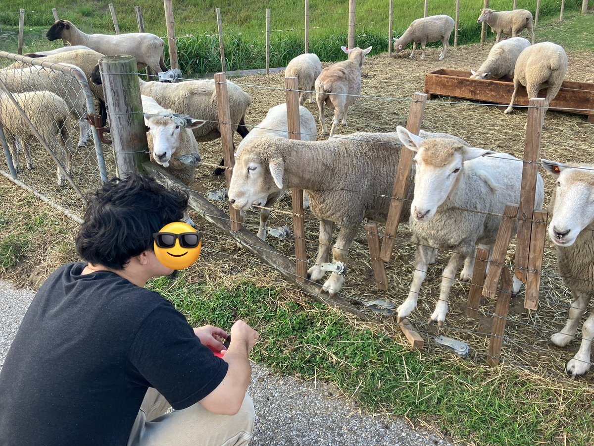 モルックしたりBBQしたり花火したり動物と戯れたりする小学校お泊まり会をやりました、無事筋肉痛😇