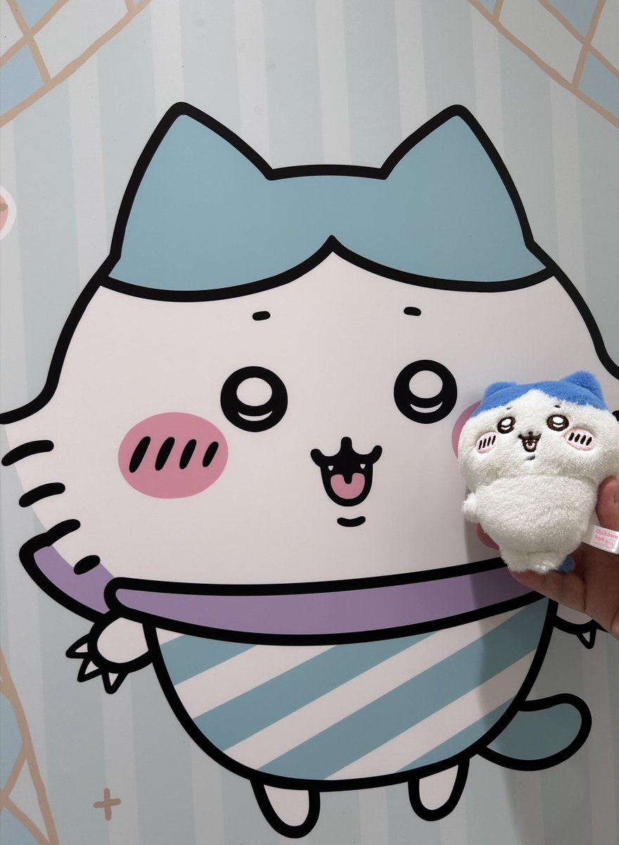 ハチワレシッポ ちいかわ ココピタ スニーカー丈（ハチワレ顔アップ） | ちい