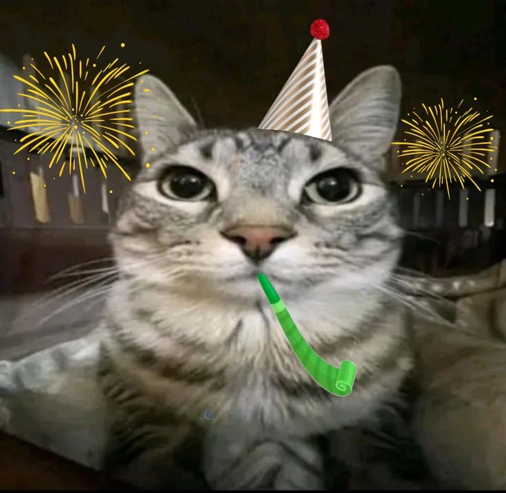 Syodouo's tweet image. Balloon day (21) 🎂