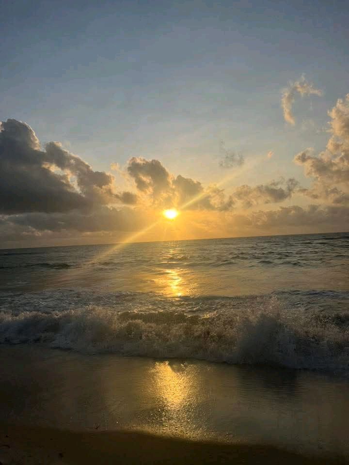 joymws's tweet photo. Every sunrise reminds us that each day is a new opportunity for growth and happiness. 🌅 Take a deep breath, soak in the beauty around you, and embrace the endless potential of today. 

#MorningInspiration #SunriseViews #NatureLovers #NewDayNewHope https://t.co/JIueAX0rd4