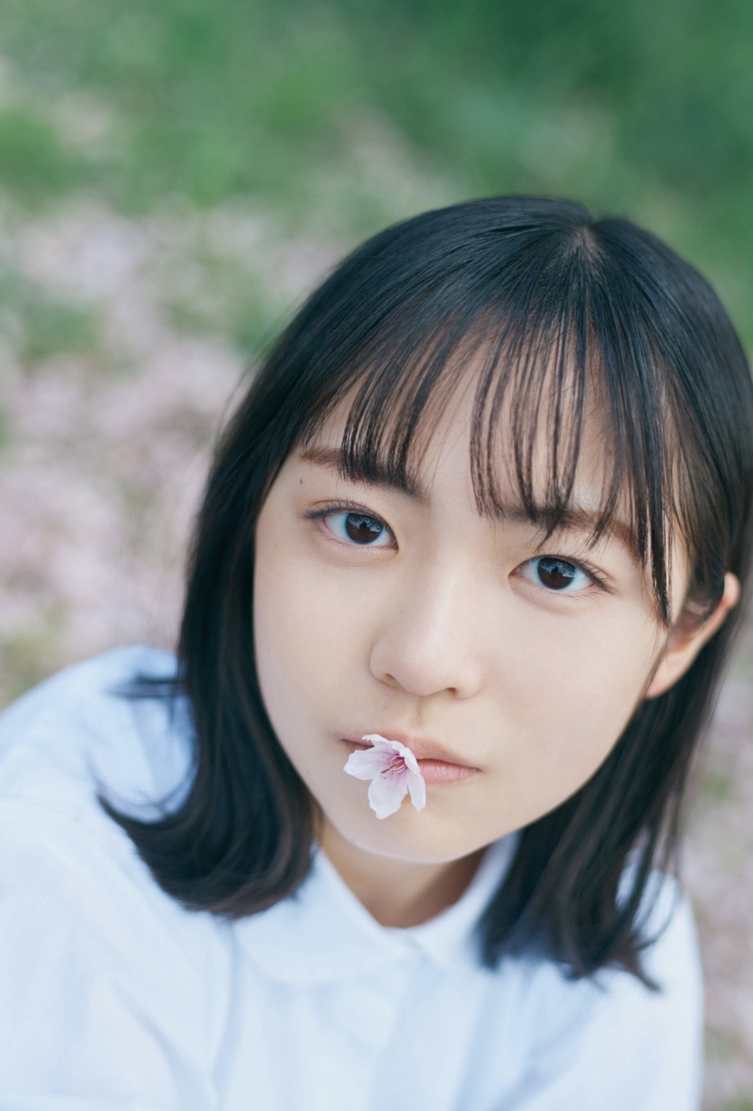 正源司陽子　MAO タタリ　新連載　小さい僕の春　シュテルンビルトの通り路 坂道アイテム情報 on X: 
