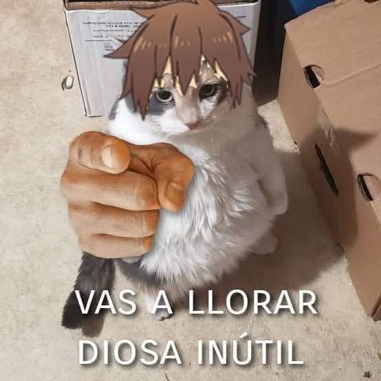 Juankun777's tweet photo. @Peluchesenpai https://t.co/7P9v5N8zAH