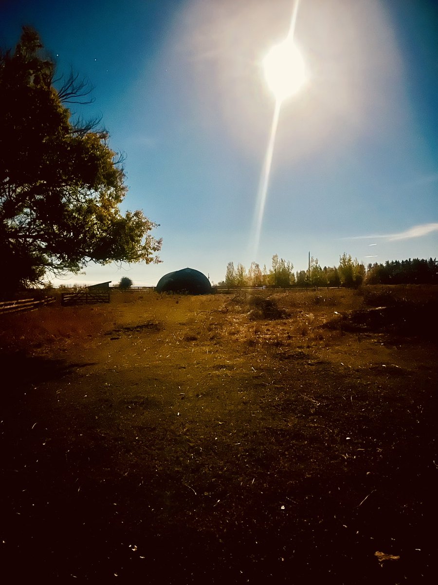 Roblaird681344's tweet image. Monday evening Moon over The barn on Gladys Ridge Alberta Canada 😊🌕
