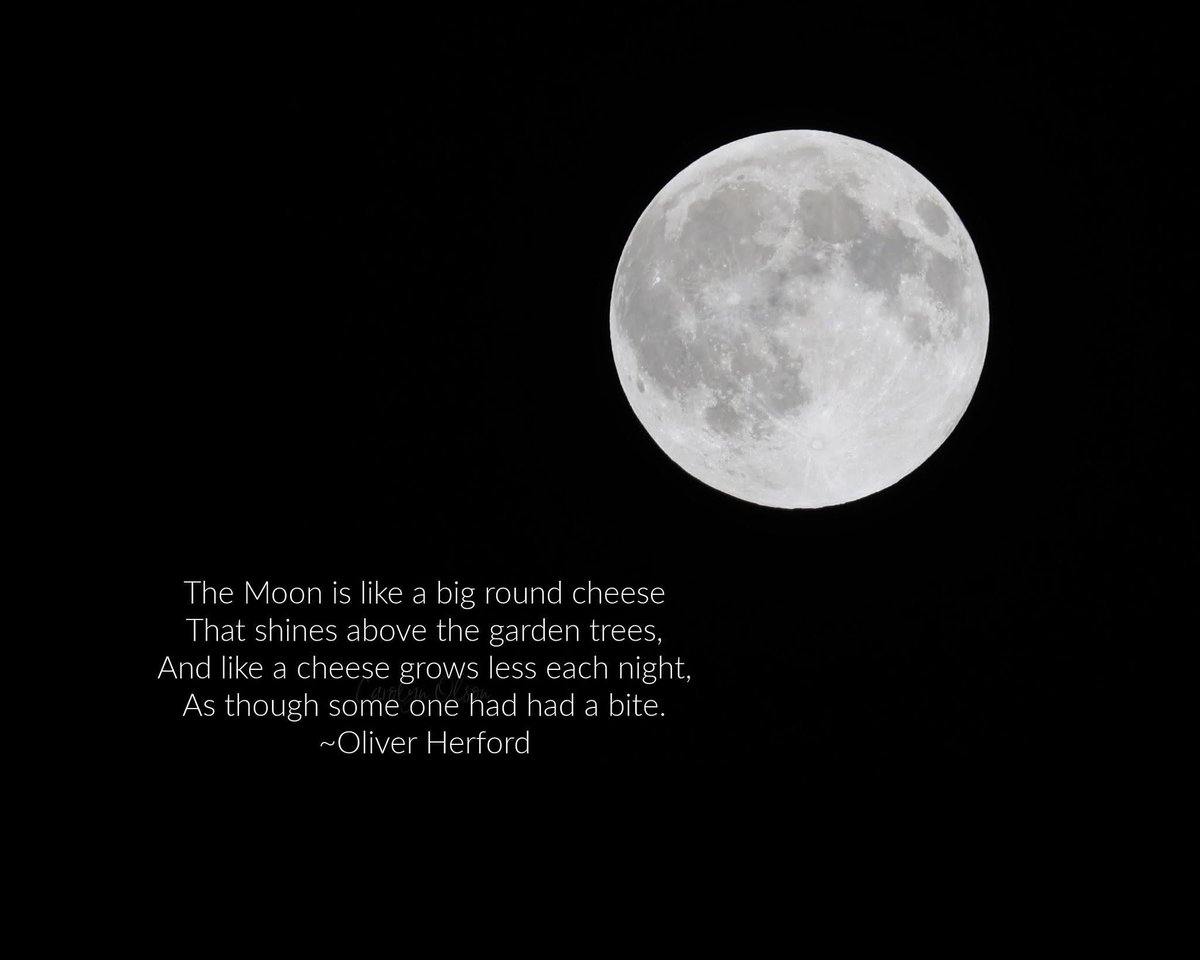 Day 14: I haven't taken nearly as many photos this year as I have in years past, and I'm feeling a bit bummed about the slump in creativity. Jonathan reminded me that tonight was the first super moon of the season, so I stepped outside to see whether the clouds had cleared. I