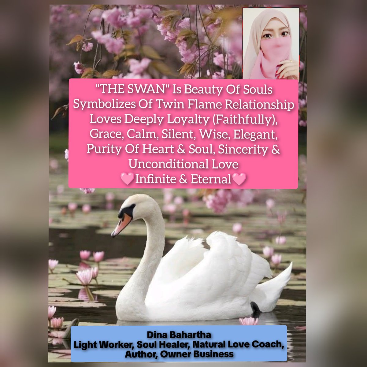 DBahartha's tweet photo. 🩷The Swan🩷Symbolized Of "Loyalty" &amp; "Twin Flame Connection And Relationship" 
🦢Infinite &amp; Eternal🦢
We Are "One Soul" &amp; "Will Never Be Separated" 🌷🦢🌷🦢🌷🦢🌷🦢

#indieauthor #lightworker #soulhealer #twinflame #soulmate #business https://t.co/eZkXwNbIBP