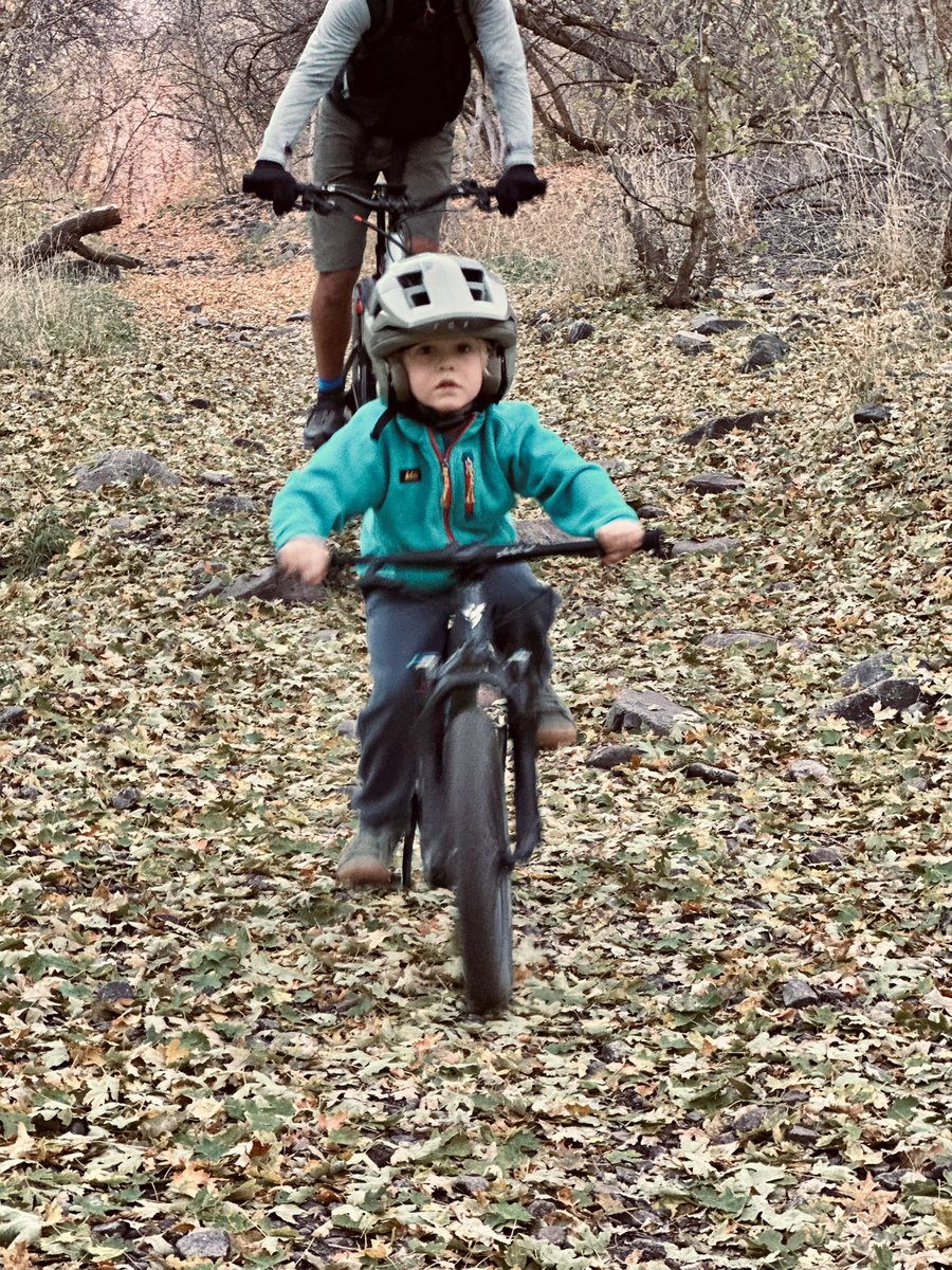 EdwardADalton's tweet photo. 🍁 🍂 The fall foliage isn’t lasting very long, but we managed to get out to enjoy some beautiful colors! My favorite time of year! https://t.co/Ks23ZdoWnA