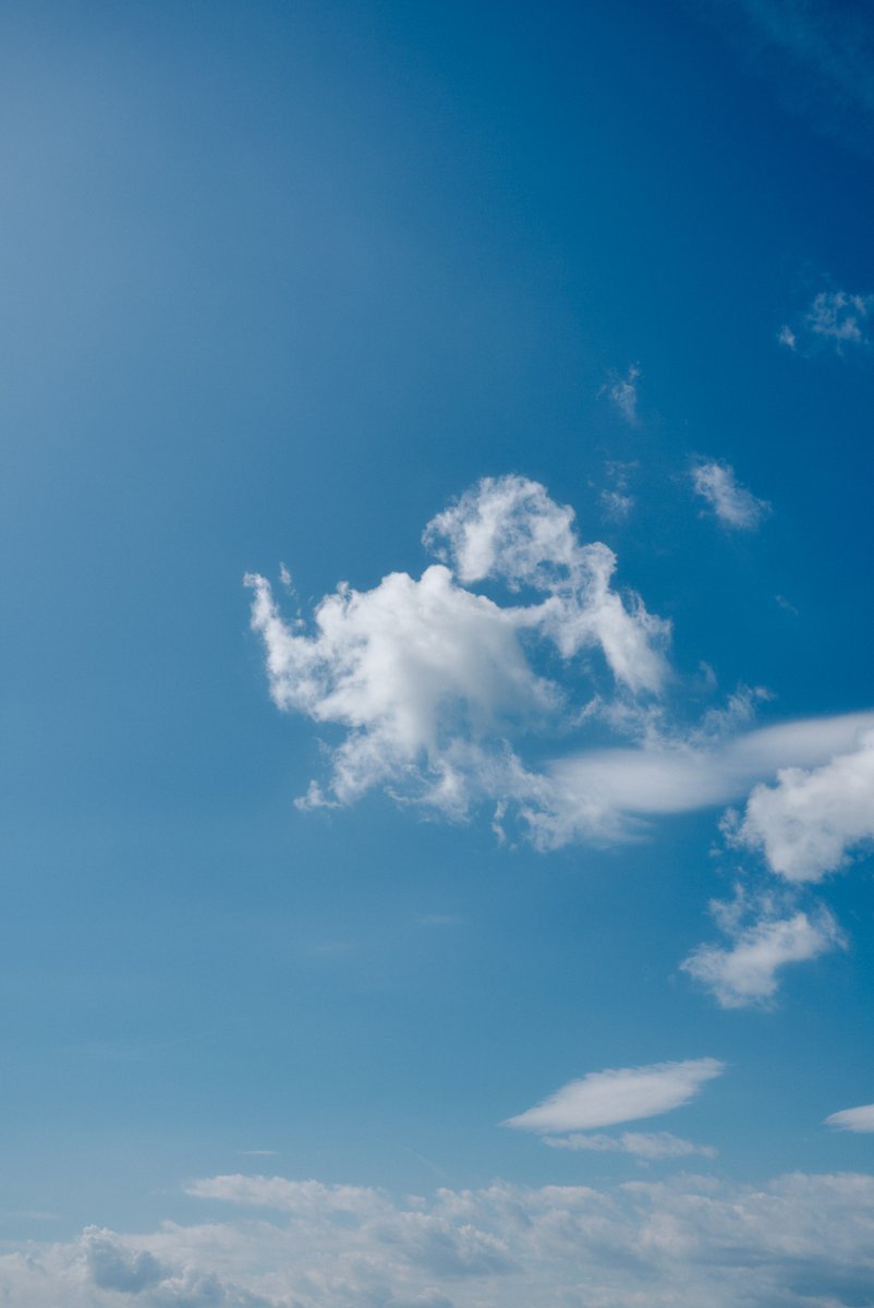 真道 健志 / Shindo Takeshi tweet media