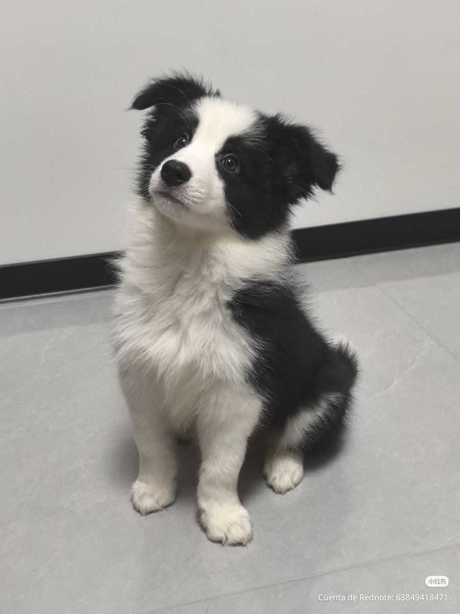 tattoos i would get if i had money (@twtpictures) on Twitter photo 