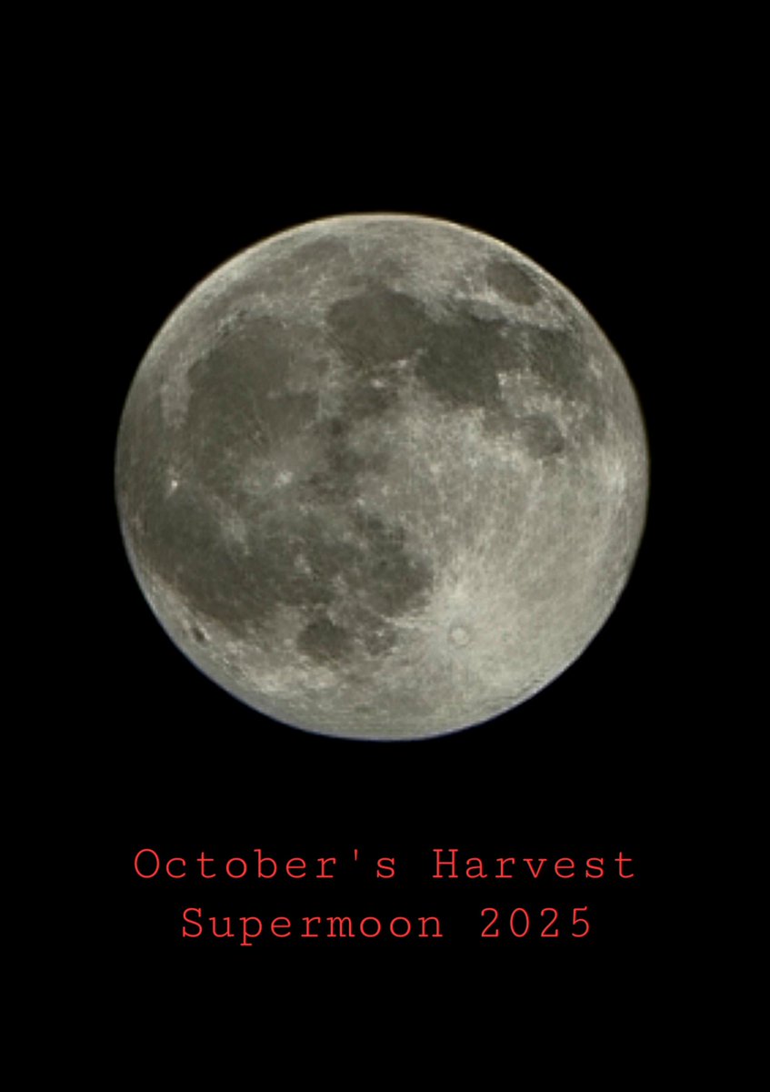 💫October's #HarvestSuperMoon 🎑 is the first #SuperMoon 🌛 of 2025 and the full moon closest to the September equinox. Venture outside and #LookUp !
🌑🌒🌓🌔🌕🌖🌗🌘🌑
#HarvestFullMoon 
#fullmoon 
#moon 
#FallVibes 🍂
#OctoberVibes 🎃