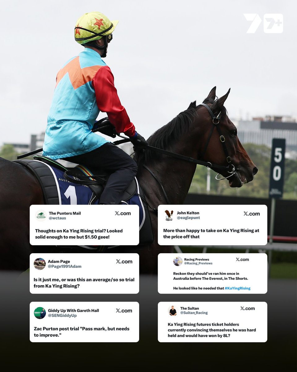 7HorseRacing 🐎 tweet media