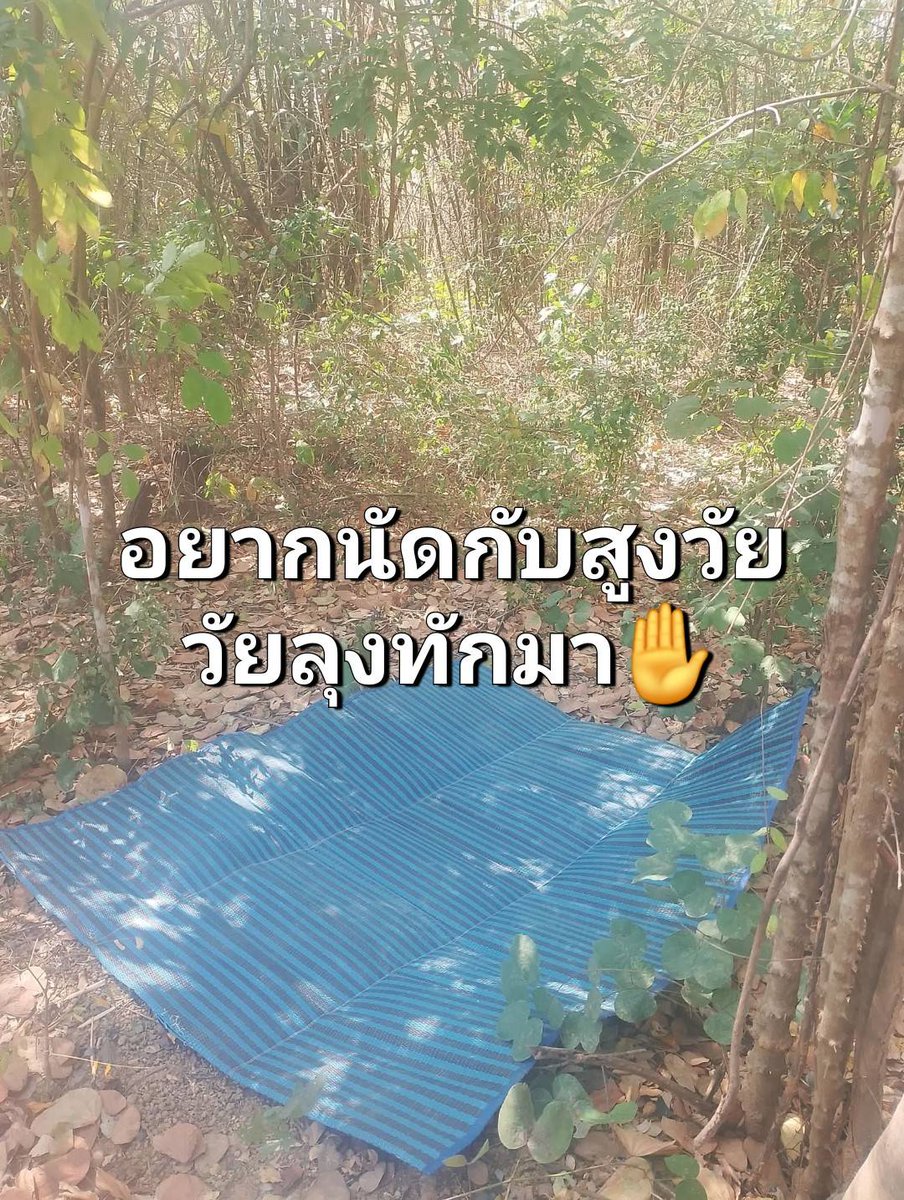 ว่างค่ะ