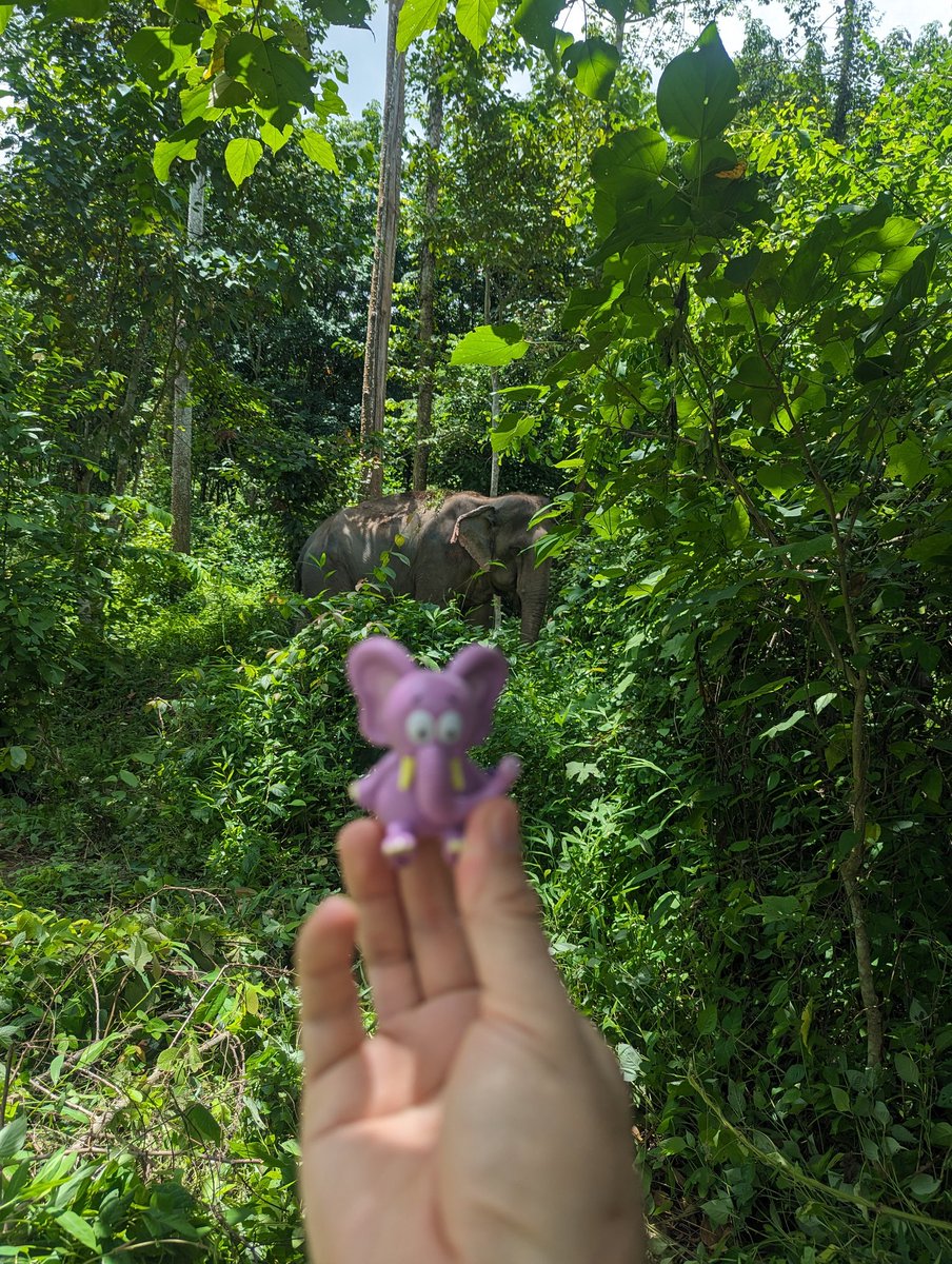 GM GM! ☀️

As you guys know, we’re big fans of <a href="/garyvee/">Gary Vaynerchuk</a> &amp; <a href="/veefriends/">VeeFriends</a> — I’ve personally been following Gary since 2013, along with his incredible NFT journey.

That’s why we included the jersey Gary’s mom knitted for him with the number #5, which carries a lot of meaning. And of