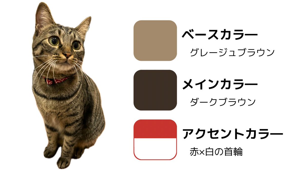 makino_ito's tweet image. うちの猫で学ぶデザイン基礎。

#Webデザイン勉強中