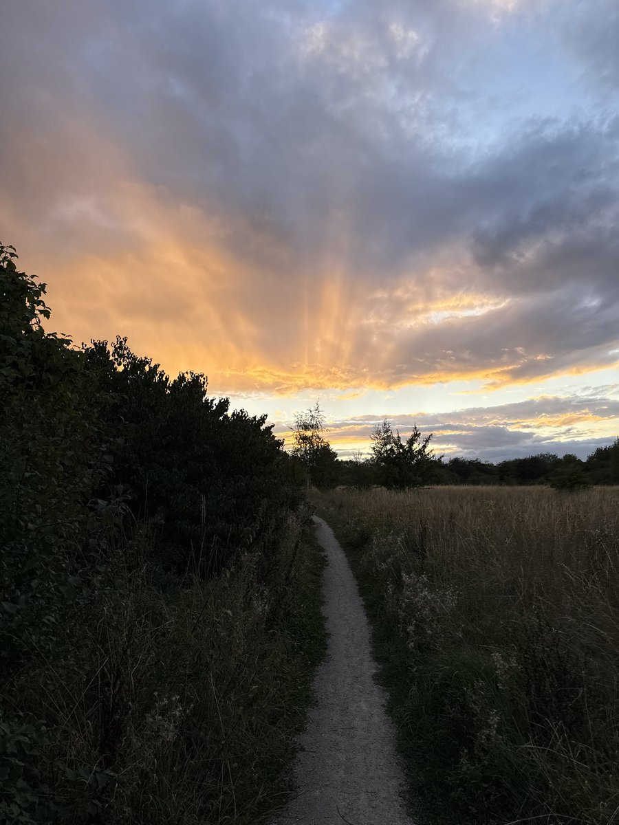 وإن عذربونا الأوادم خلينا صدرنا  ... وسيع
مَاعذربنا عناقيد العنب غير الذي ماطالهاا .
