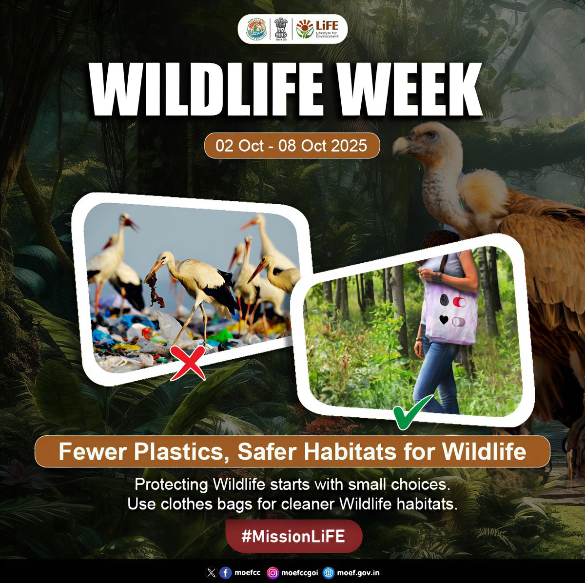 moefcc's tweet image. Fewer Plastics, Safer Habitats for Wildlife 

Protecting Wildlife starts with small choices. Use clothes bags for cleaner Wildlife habitats.

#MissionLiFE #ProPlanetPeople
#WildlifeWeek #WildlifeWeek2025