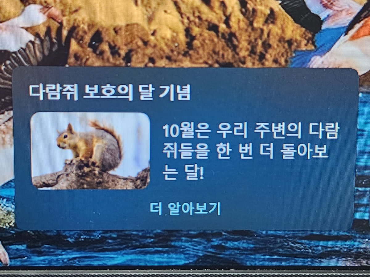 hoy6617's tweet photo. 10월은
다람쥐
보호의 달🐿�� https://t.co/V5Byig5Tlk