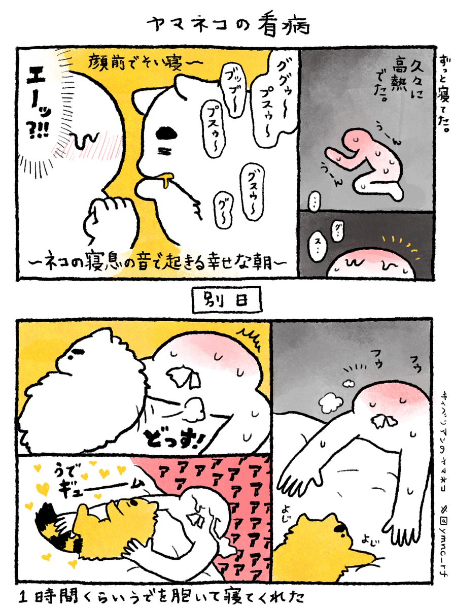 やまねこ♡　他の方はコメントお控えください=(^.^)= Kizineko-sama | 「？？」 ネコの書籍ッ！予約受付中ッ！ ハイ