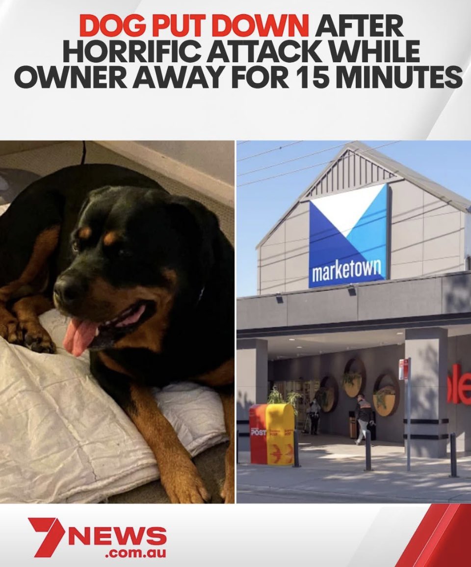 A dog has had to be put down after being repeatedly kicked by a group of teenagers.

Sasha, a nine-year-old rottweiler, was tied to a tree outside Marketown shopping centre on Steel St in Newcastle West when she was allegedly attacked around midday on Friday.

There is something