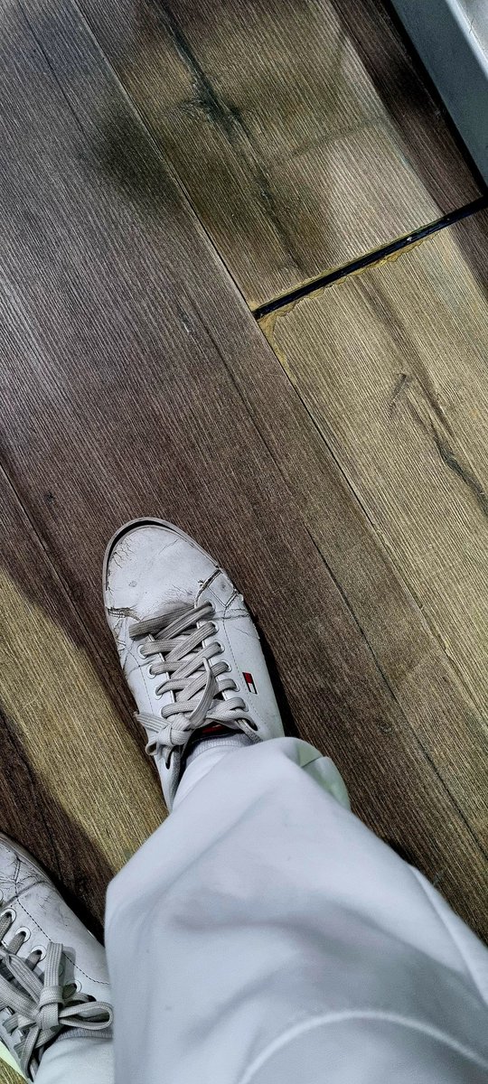 Mis tenis para el gimnasio están más maltratados que la nariz de Tito de Molotov.