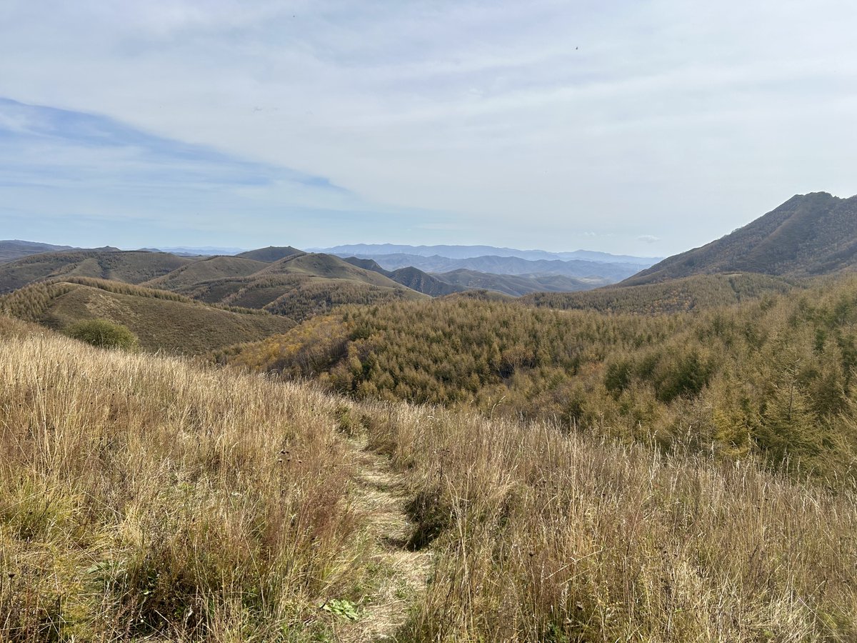 Ruby_Saturn's tweet photo. Tour of the Zhangbei Grass Skyline.
张北草原天路自驾
2025.10.01 https://t.co/zg3znZwk75
