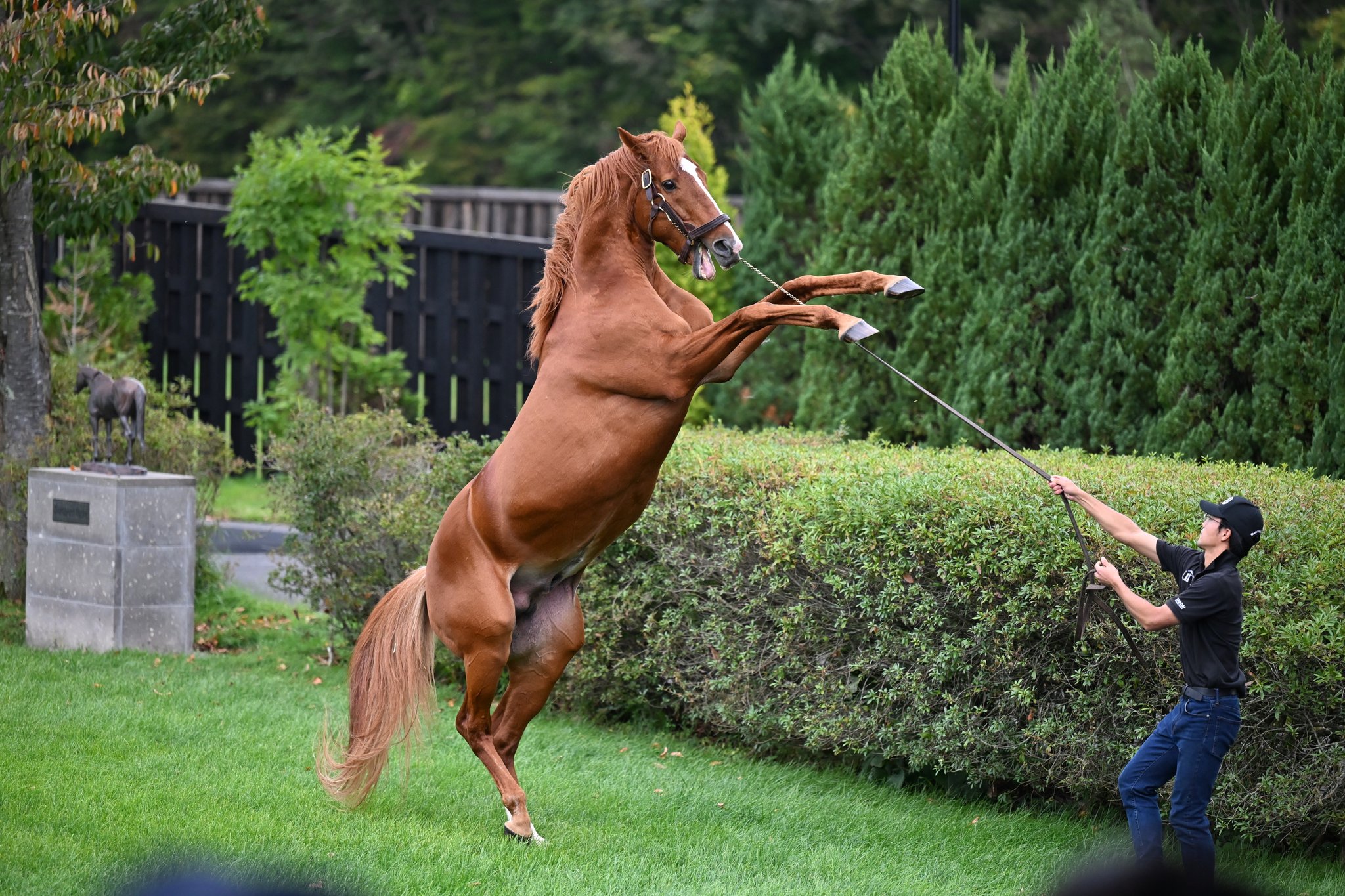馬と女性　メノウ　カメオ　ルース 馬と女性 メノウ カメオ ルース