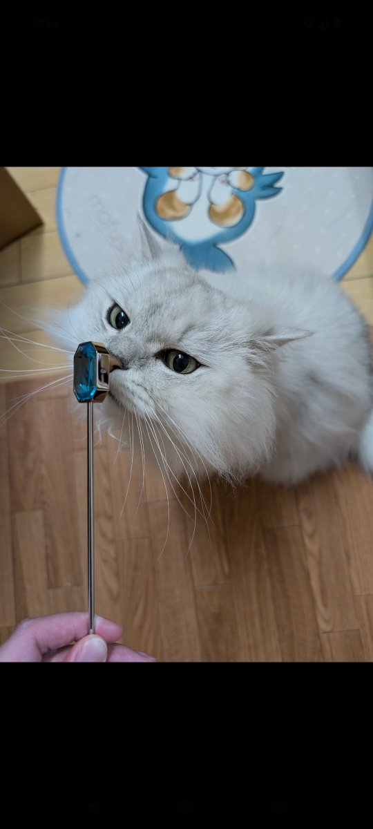 mugitorohotate's tweet image. まほうの　すてっき！

#ボンベイサファイア
#BOMBAYSAPPHIRE