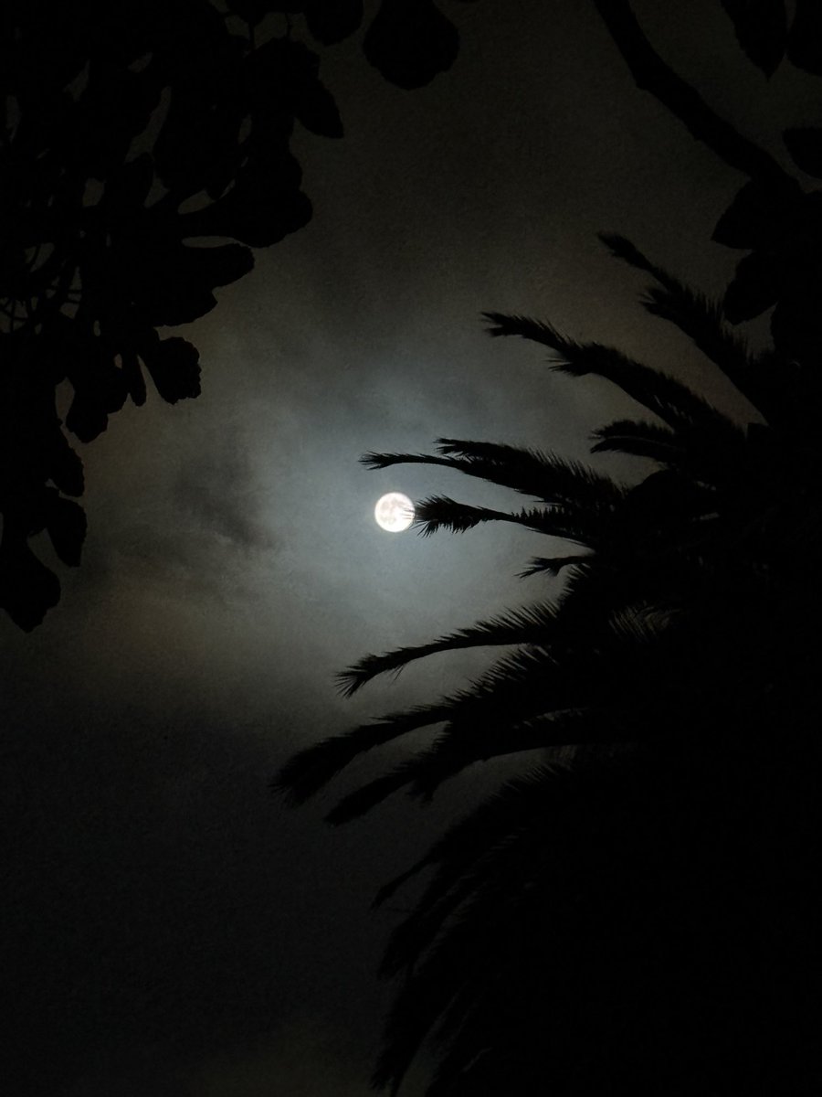 marilerie's tweet photo. #harvestmoon #supermoon #fullmoon #octobermoon 🌕✨ https://t.co/75vH7D4zFL