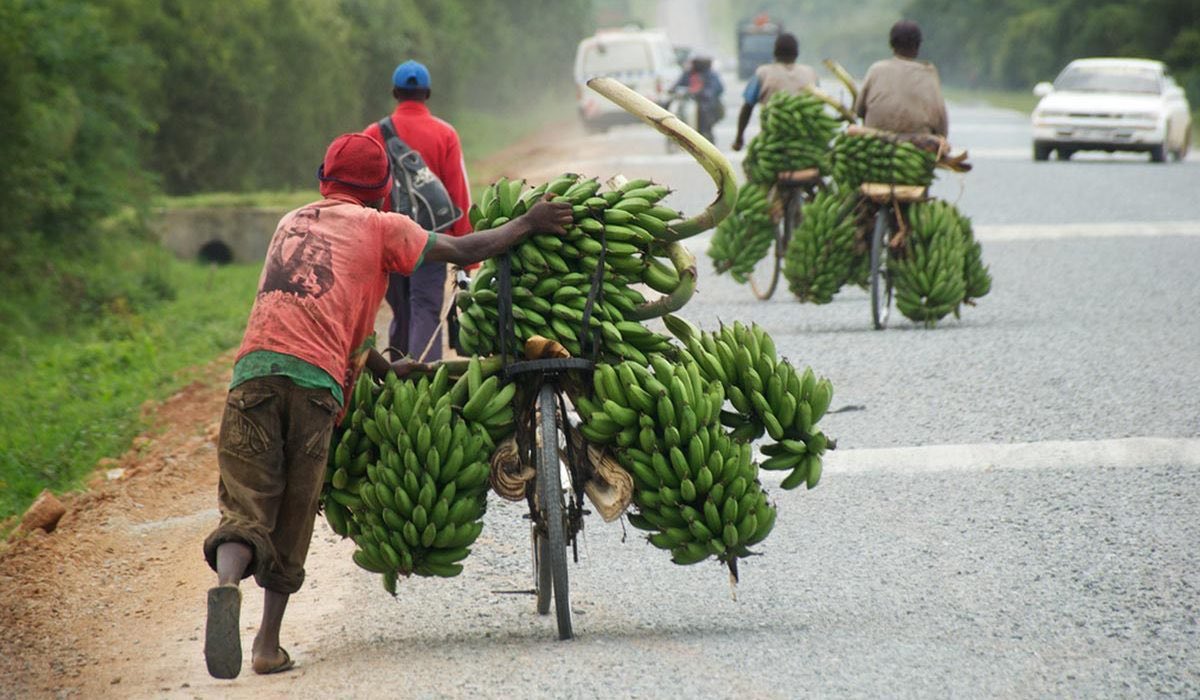 Good morning my lovely people 🥰 Another day to thank God and try again. Have a blessed Tuesday 💯