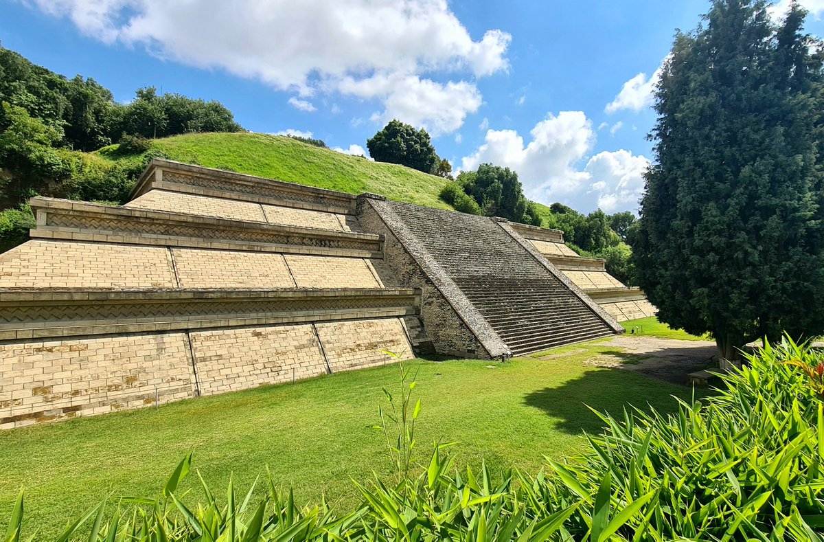 Sergio Manrique tweet media