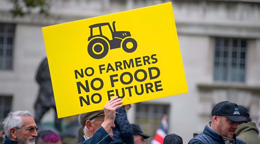The latest Farms Not Factories newsletter is out now. We’ve pulled together pressing news and sources in food, farming, ecocide, and more all in one place. 
Stay informed, stay connected, and see what’s really happening behind the headlines.
Read the full newsletter here: