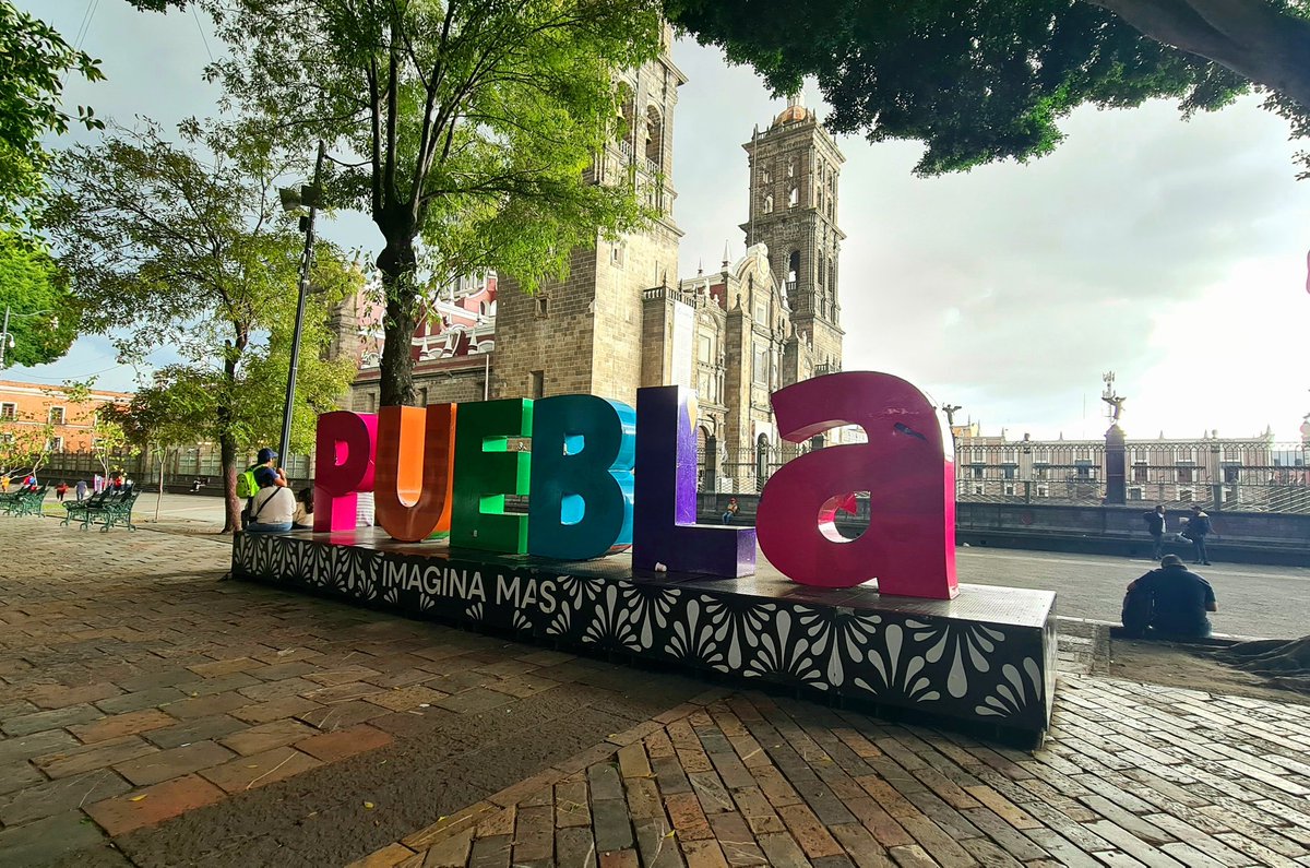 Sergio Manrique tweet media