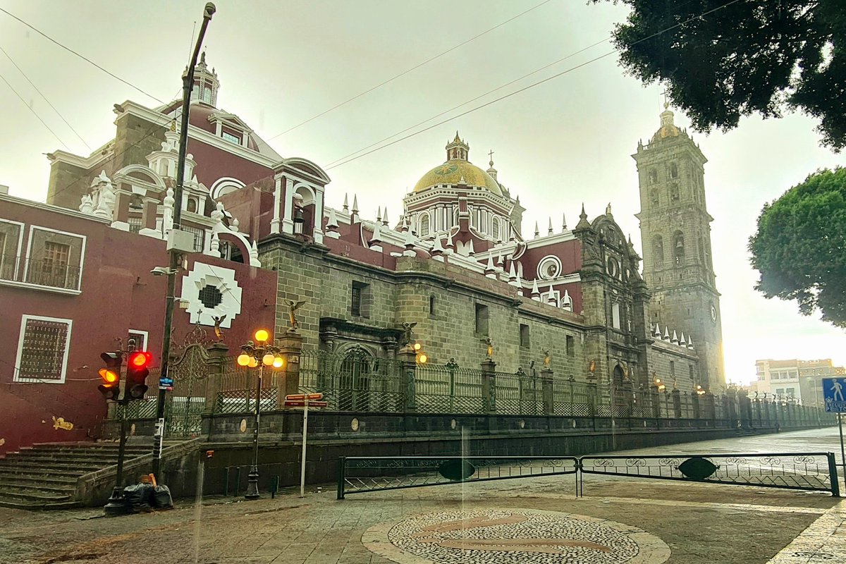 Sergio Manrique tweet media