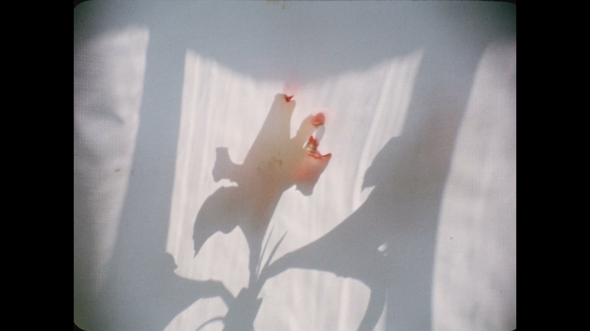 mystickspirals's tweet image. deeply saddened by the loss of ken jacobs—just the coolest guy; a magical, singular artist of scorched earth and miraculous residue. more committed than anyone else.💔🥀
transfer.it/t/rAIEPghnwJyS
this is somewhere around 90 films that i can&apos;t be bothered to list. please enjoy ^_^