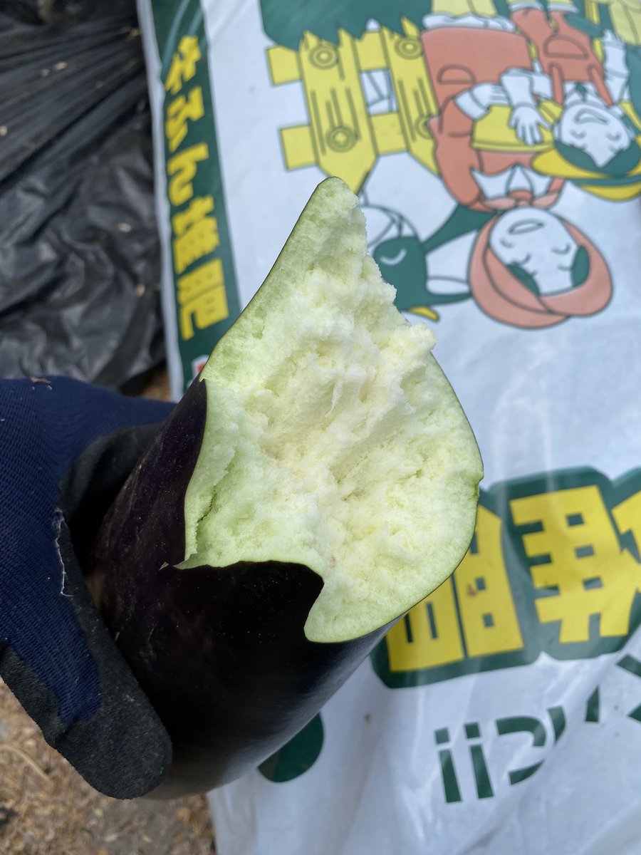 tk2tk2tk2tk2tk2's tweet image. 腕ナス💪🍆ww
こんなだけど中はめちゃ綺麗😍
そのまま食べてみたら柔らかい梨みたいな感じでした☺️👍