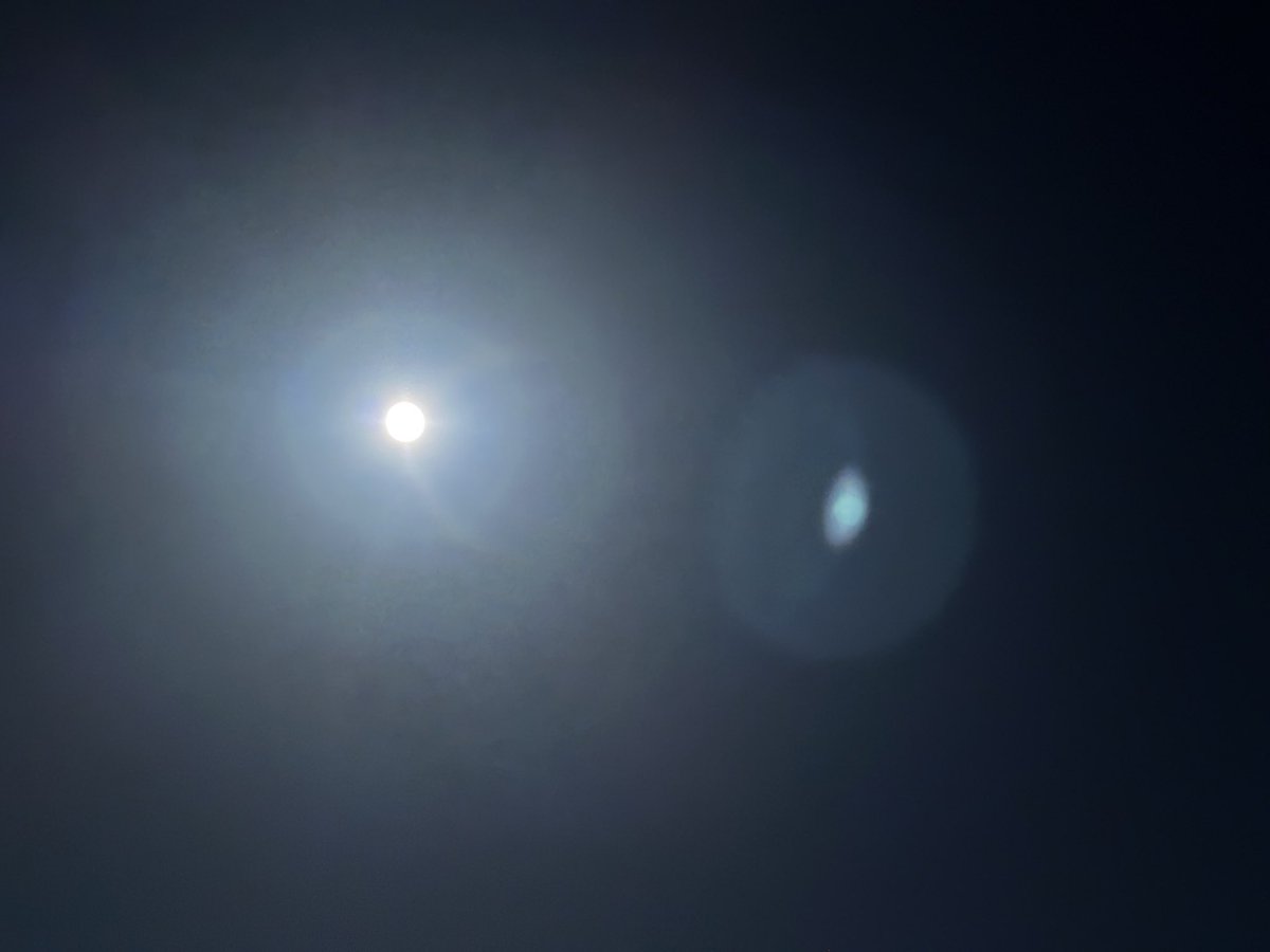 DriveWalkTransit tweet media