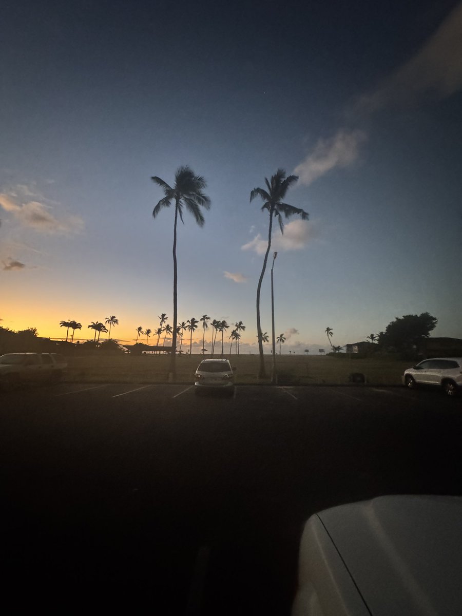 kaihereX's tweet image. mhmmm