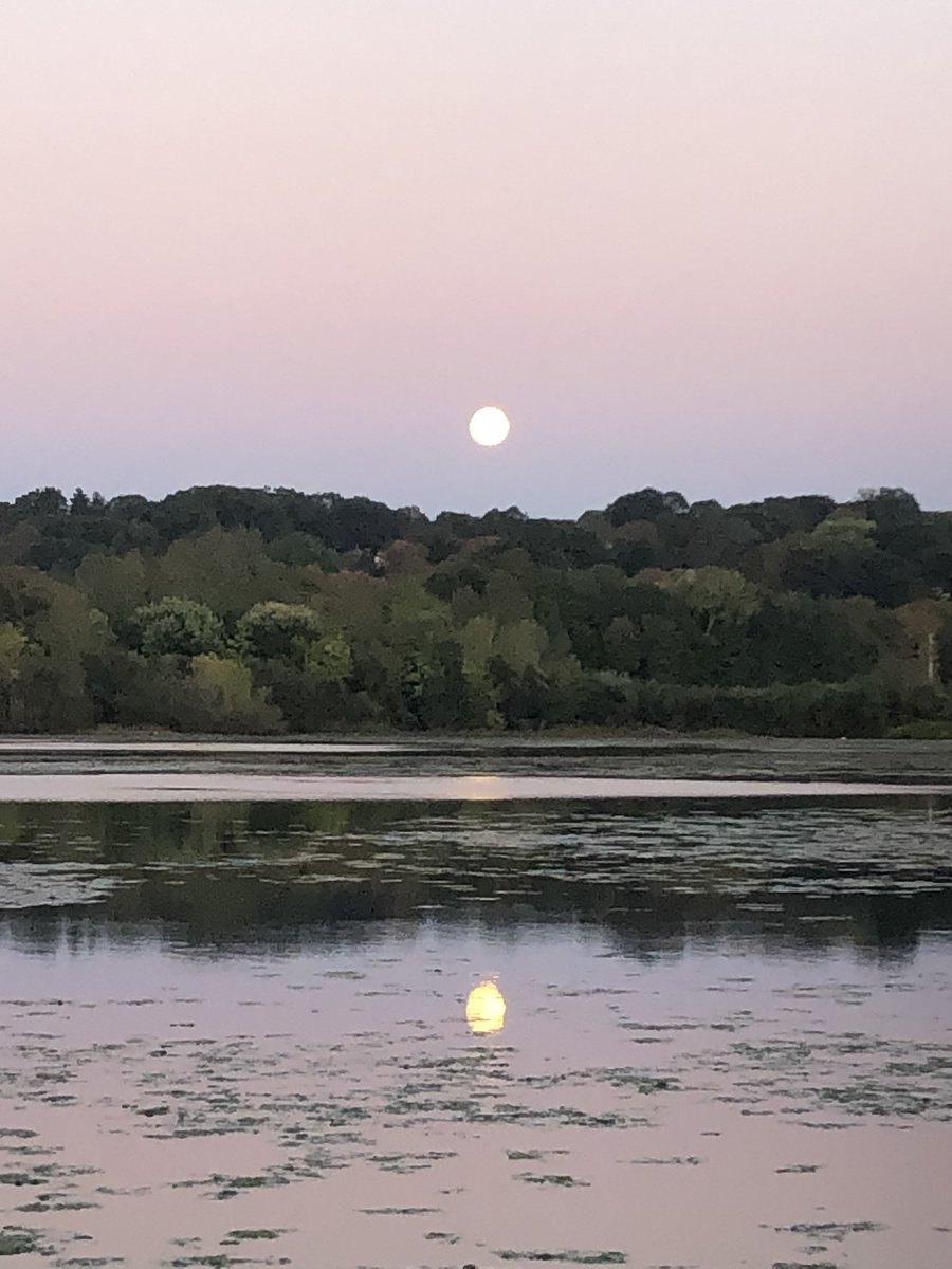 coachpam2's tweet photo. Happiness Is…a full super moon on your birthday and celebrating with my hubby and kids ❤️🌙🎃🌻🍂! The Full Super October Harvest Hunter’s Chestnut Migrating Moon🌙🎃🍂! #sixtyone #superfullmoon #harvestmoon #huntersmoon #chestnutmoon #migratingmoon https://t.co/mP7OBWixzW