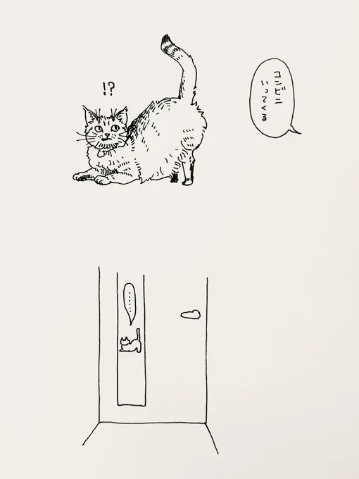留守番の時間が思ったより短くて一瞬嬉しそうな顔をする猫(でもそのまま寝る) 