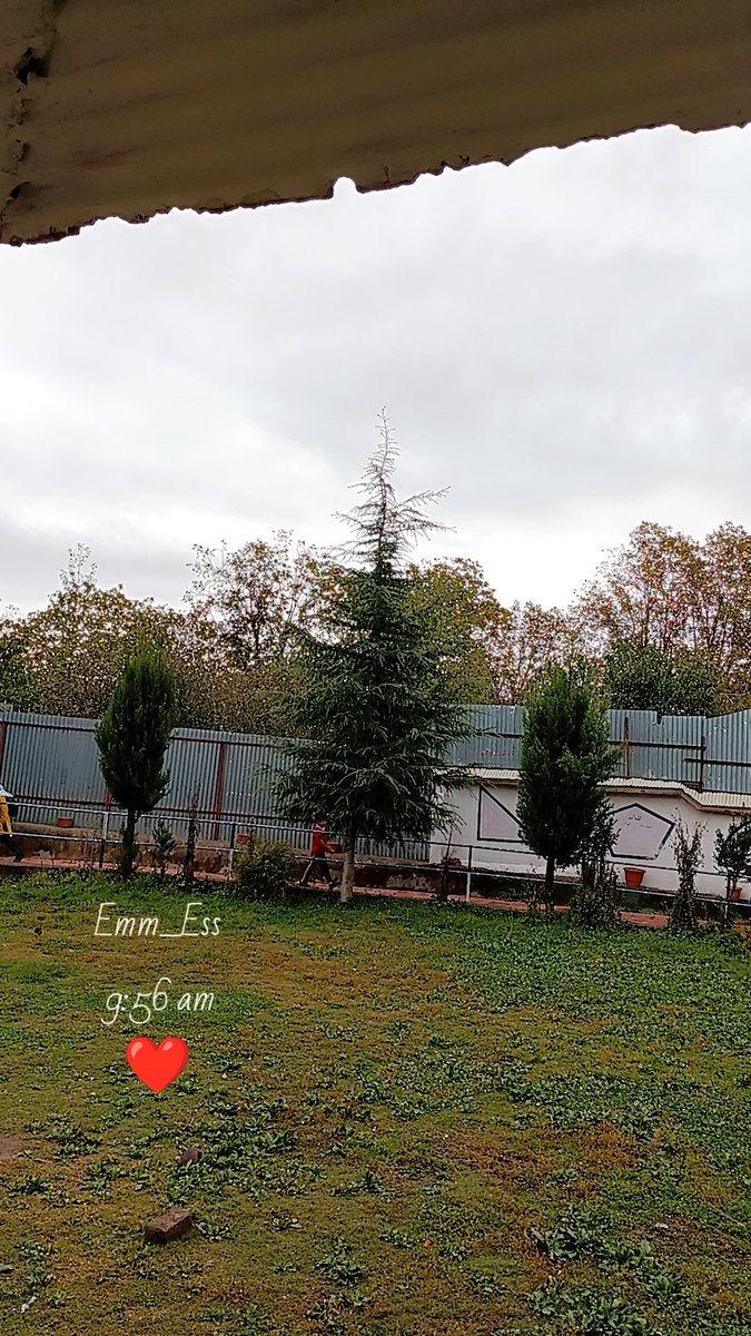 Masroof_manzoor tweet media